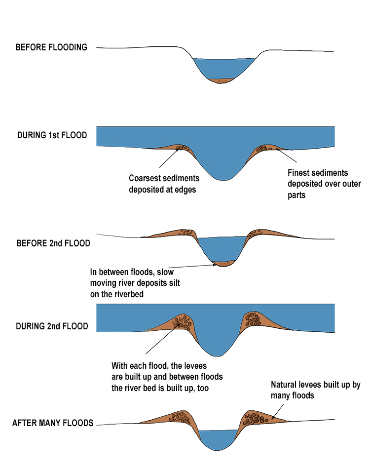 Formation of natural levees: